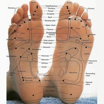 Yoga Toes Features #yogatoes #footpain #footpainrelief