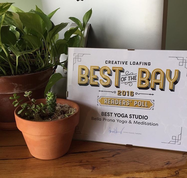 best yoga studio in tampa bay